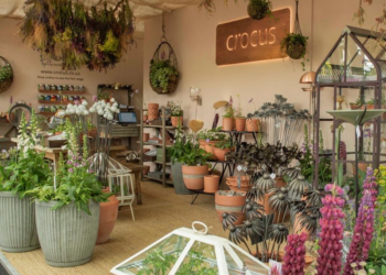 Flourishing Sanctuary
