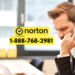 Norton