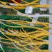 The Future of Business Transactions: Leveraging Electronic Data Interchange (EDI)