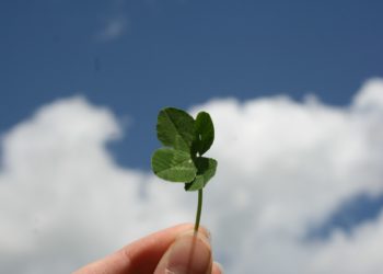 The Everlasting Power Struggle Between Luck and Skill in Card Games