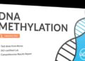 Unlocking health insights with DNA: the power of a genetic methylation test