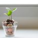 Understanding Finance and Why It Matters in Everyday Life
