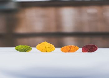 The Best Prefilled Vape Pods for Flavour, Vapour and Value