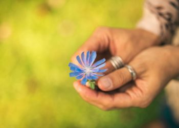 Everyday Magic: How Instgifts Turns Small Moments into Lifelong Memories