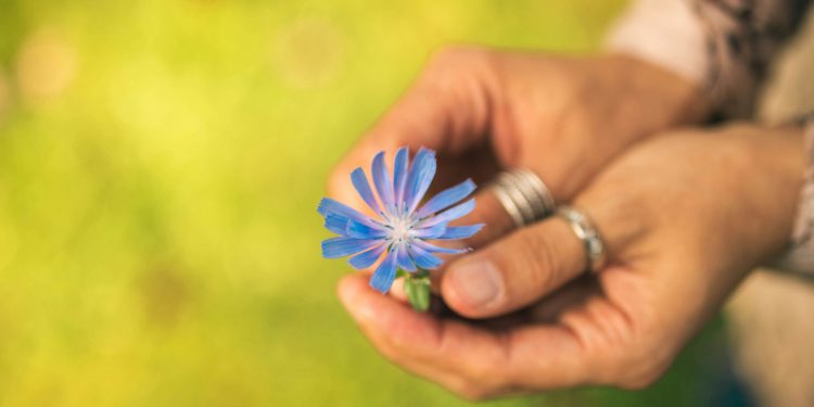 Everyday Magic: How Instgifts Turns Small Moments into Lifelong Memories