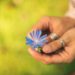 Everyday Magic: How Instgifts Turns Small Moments into Lifelong Memories
