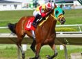 Challenges and Opportunities in the UK Horse Racing Betting Business Industry