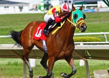 Challenges and Opportunities in the UK Horse Racing Betting Business Industry