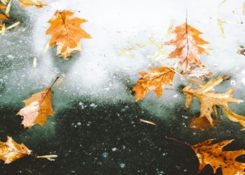 Changing Seasons, Changing Systems: Prepping Your HVAC for the Weather Ahead