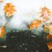 Changing Seasons, Changing Systems: Prepping Your HVAC for the Weather Ahead