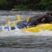 Why Rafting Is the Ultimate Team-Building Activity
