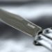 Close-up of the Butterfly Knife