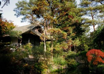 Garden Cabins and the Future of the 15-Minute City in the UK