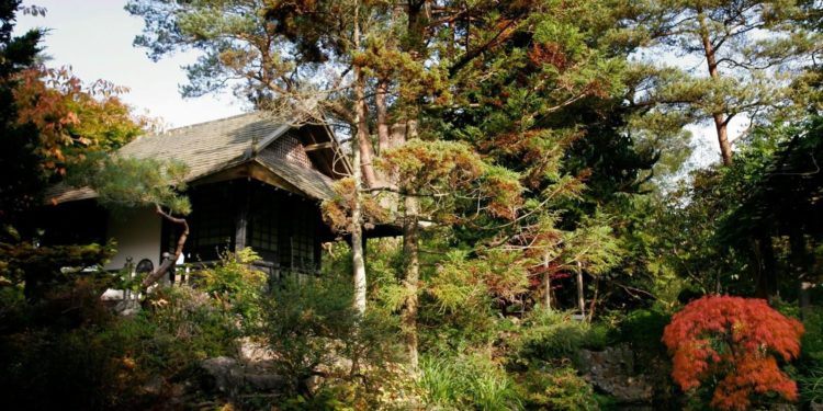 Garden Cabins and the Future of the 15-Minute City in the UK