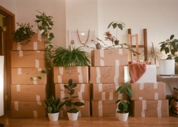 Packed Items and Boxes for Moving
