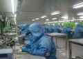 Pharma Production and Factory
