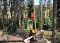 Land Services