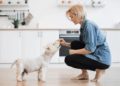 Pets
