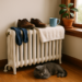 Radiators