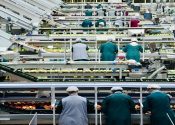 Workers in protective clothing sort and pack apples on a modern fruit processing assembly line. The high-tech facility is bustling with activity.