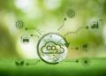 Pathways to Net Zero: Carbon Management Strategies for the UK Chemical Industry