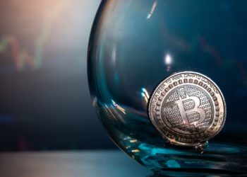Dogecoin Adoption Never Stopped Soaring