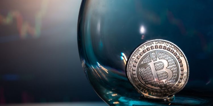 Dogecoin Adoption Never Stopped Soaring