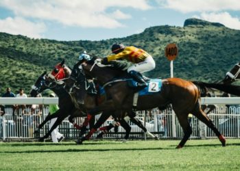 FIRST.com Is Turning Data, Community and Insight into Smarter Betting