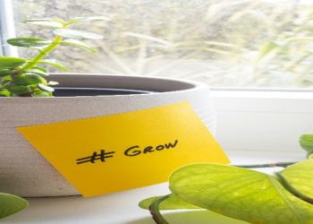 The Ultimate Instagram Followers Growth Checklist for Creators & Small Brands