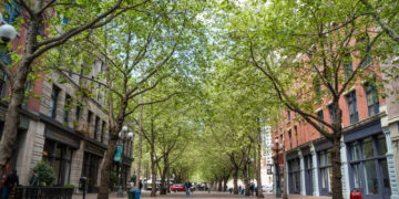 Urban Trees