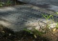 Metal storm drain grate is embedded in a concrete sidewalk, surrounded by grass and small plants, under soft, natural daylight.