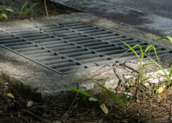 Metal storm drain grate is embedded in a concrete sidewalk, surrounded by grass and small plants, under soft, natural daylight.