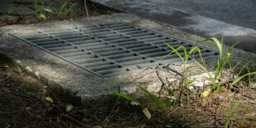 Metal storm drain grate is embedded in a concrete sidewalk, surrounded by grass and small plants, under soft, natural daylight.