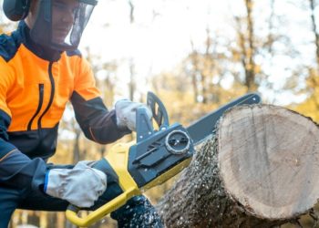 How Often Should You Clean and Oil a Gas Chainsaw for Best Results?