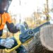 How Often Should You Clean and Oil a Gas Chainsaw for Best Results?
