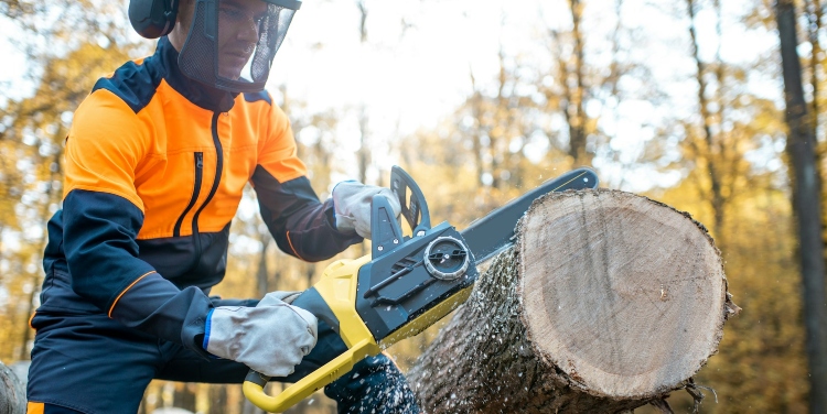 How Often Should You Clean and Oil a Gas Chainsaw for Best Results?