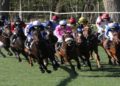 Group of jockeys and horses racing on a grassy track, surrounded by trees. The riders wear colorful uniforms, conveying excitement and competition.