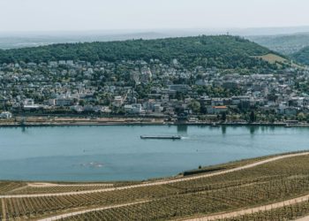 https://www.pexels.com/photo/view-of-a-city-and-vineyards-on-the-rhine-river-in-germany-19429211/
