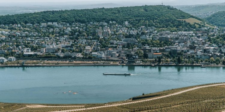 https://www.pexels.com/photo/view-of-a-city-and-vineyards-on-the-rhine-river-in-germany-19429211/