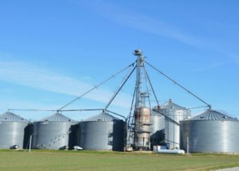 Row of large metal grain silos and an elevator stand on a flat grassy field under a clear blue sky, conveying an industrial yet peaceful rural scene.