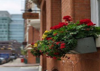 Top 10 Benefits of Commercial Rubbish Removal for UK Businesses