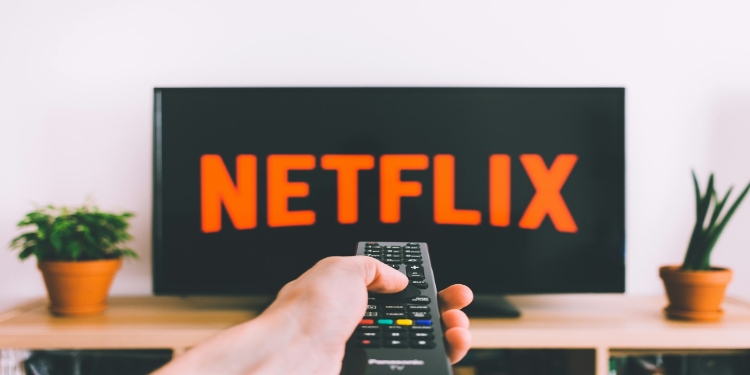 Hand holding a remote points towards a TV displaying the Netflix logo in bold red letters. Two potted plants sit on the wooden TV stand, creating a cozy ambiance.
