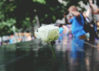 Beautiful Memorial Options: Scattering Ashes Ceremonies and Unique Ashes Keepsakes