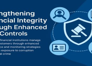 Strengthening Financial Integrity Through Enhanced Risk Controls