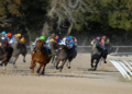 Horse race in action on a sandy track, with jockeys in colorful uniforms. The leading horse accelerates with intensity, as spectators watch.