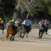 Horse race in action on a sandy track, with jockeys in colorful uniforms. The leading horse accelerates with intensity, as spectators watch.