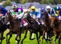 Are AI-Powered Betting Tools Changing How UK Horse Racing Is Analysed?