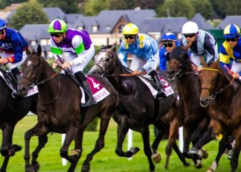 Are AI-Powered Betting Tools Changing How UK Horse Racing Is Analysed?