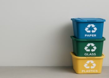 How Effective Waste Management Shapes Sustainable Urban Growth