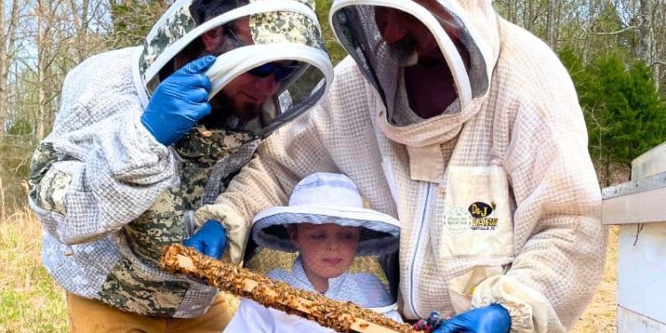 Beekeeping